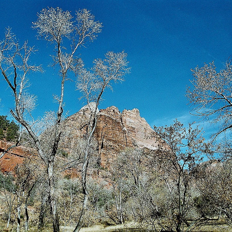 881 USA, Utah, Zion Nationalpark Zahlreiche veröffentliche Expeditionsberichte, Zeichnungen und Fotografien und nicht zuletzt ein Zeitungsbericht im Scribner's...