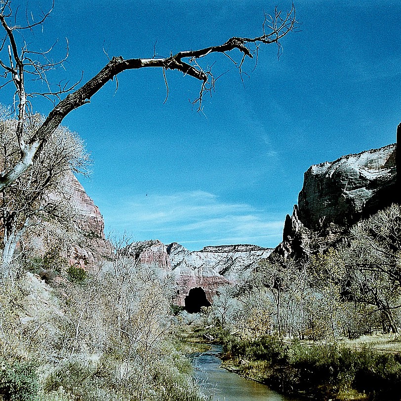 884 USA, Utah, Zion Nationalpark