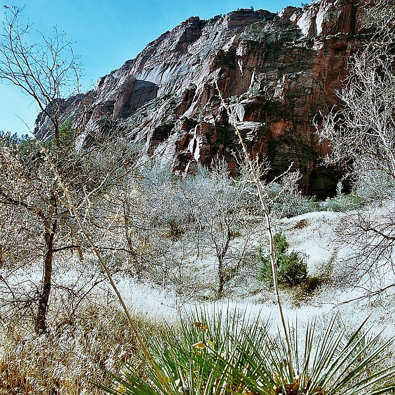 885 USA, Utah, Zion Nationalpark