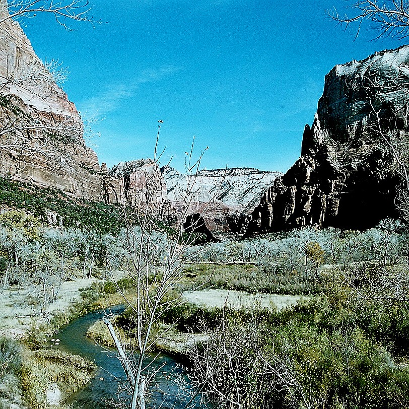 886 USA, Utah, Zion Nationalpark