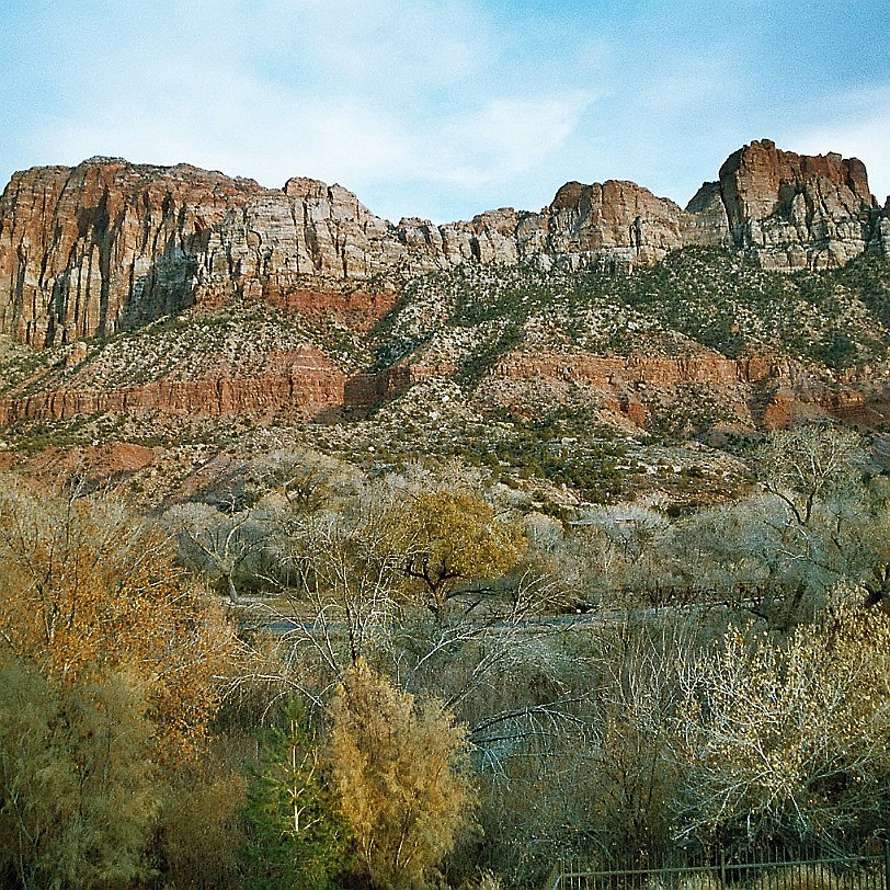 869 USA, Utah, Zion Nationalpark