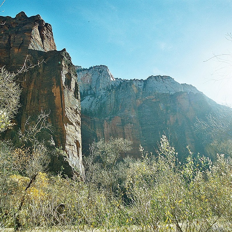 875 USA, Utah, Zion Nationalpark Diverse Funde belegen, dass sich bereits seit 6000 v. Chr. Menschen in diesem Gebiet angesiedelt haben, um hier Pflanzen und Samen...