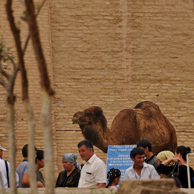 2012-05 Usbekistan [802] Usbekistan, Chiva, Choresm