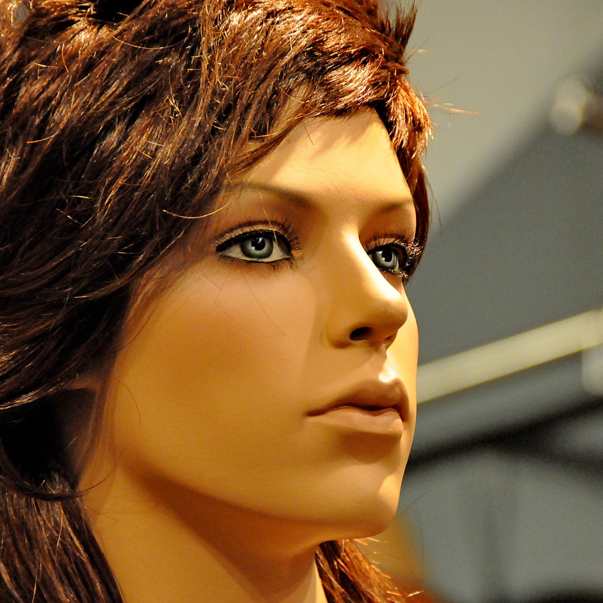 DSC_9061 Niederlande, Amsterdam