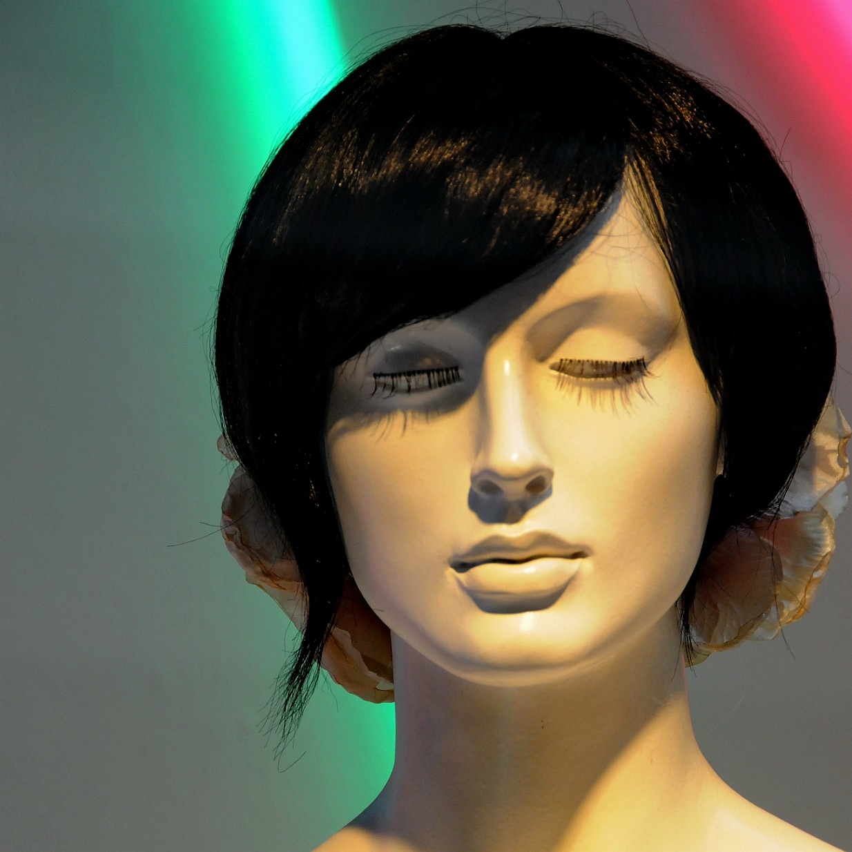 DSC_9065 Niederlande, Amsterdam