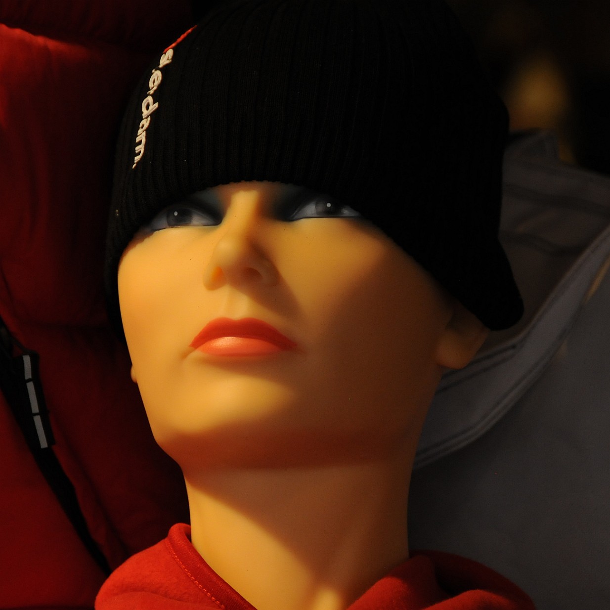 DSC_9127 Niederlande, Amsterdam