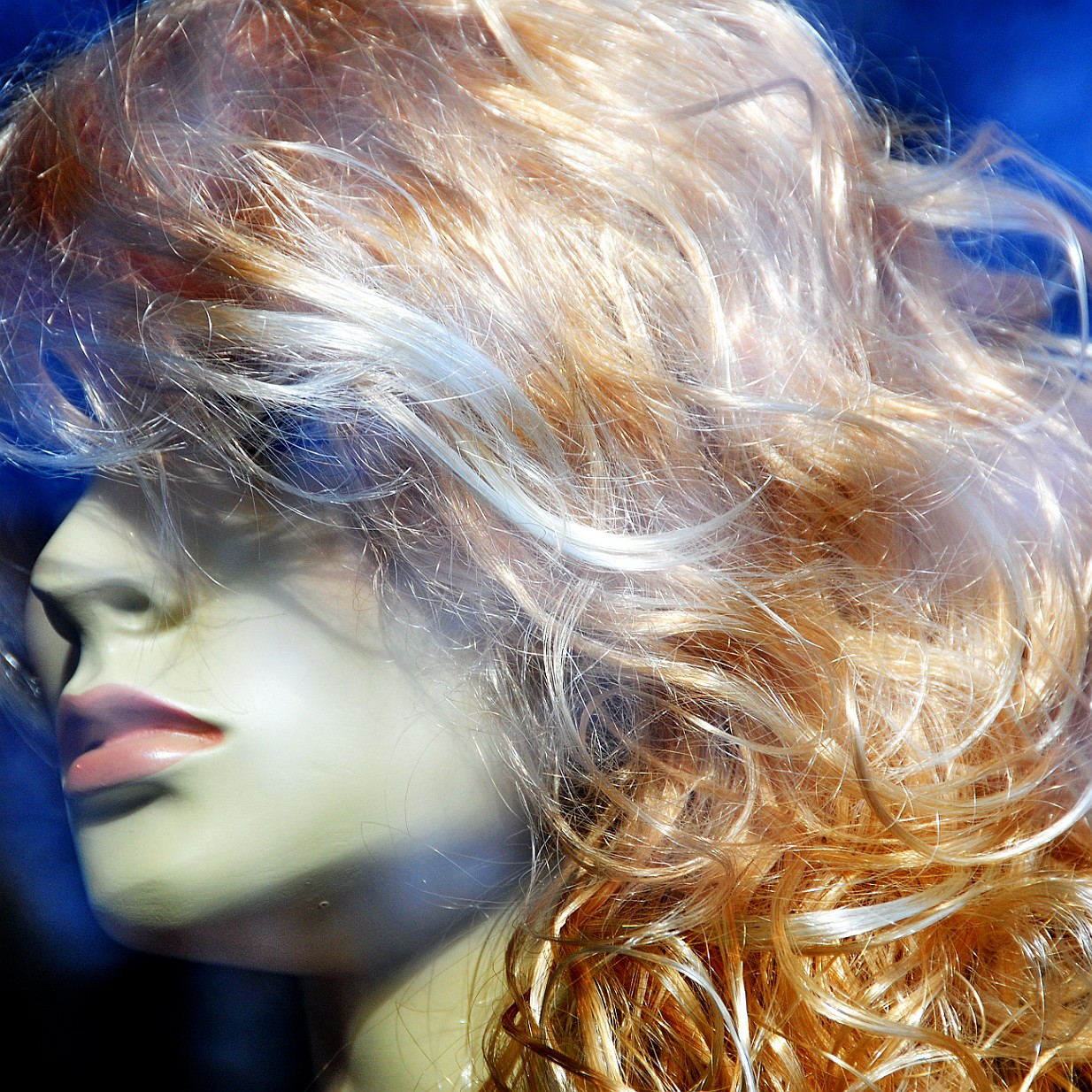 2011-04 Krakau [438]