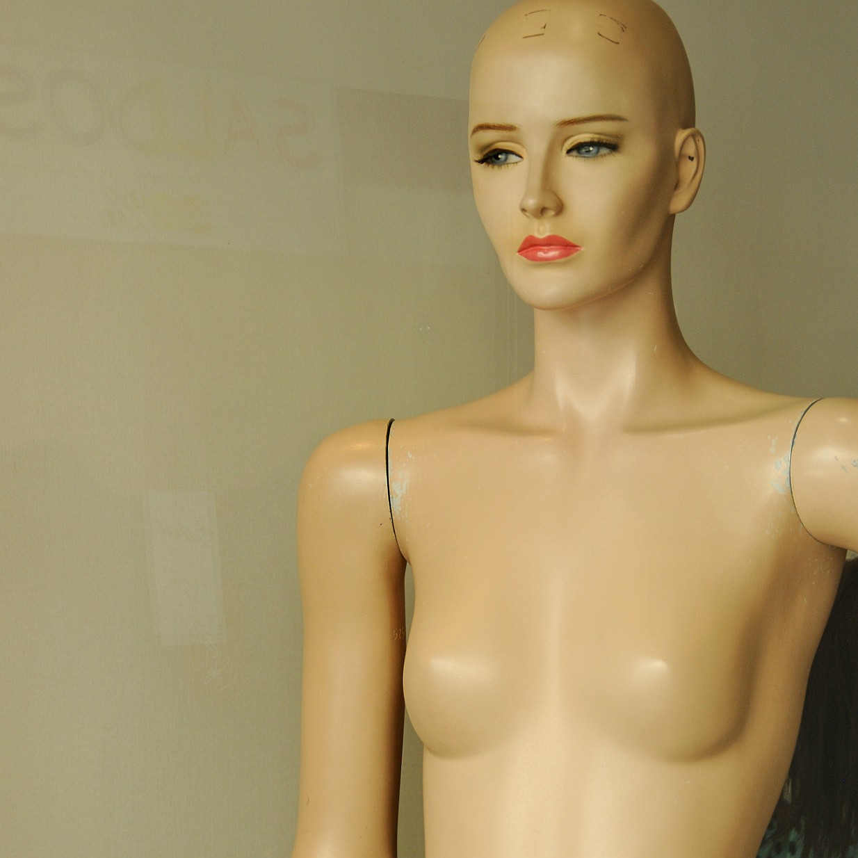 2012-09 Madeira [405] Madeira, Schaufensterpuppen