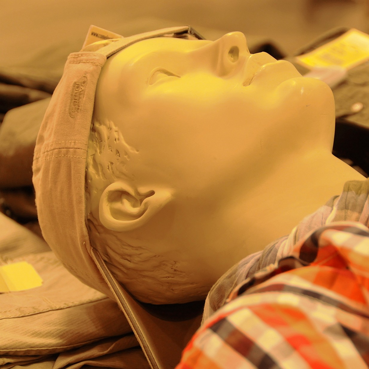 2012-03 Weimar [197] Thüringen Weimar