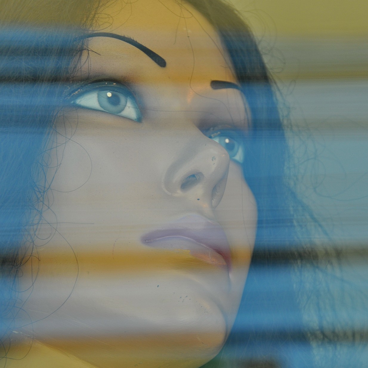 DSC_9989 Chile, Puppets, Schaufensterpuppen