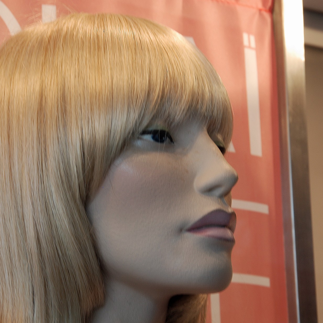 DSC_3441 Großbritannien, Schottland, Edinburgh