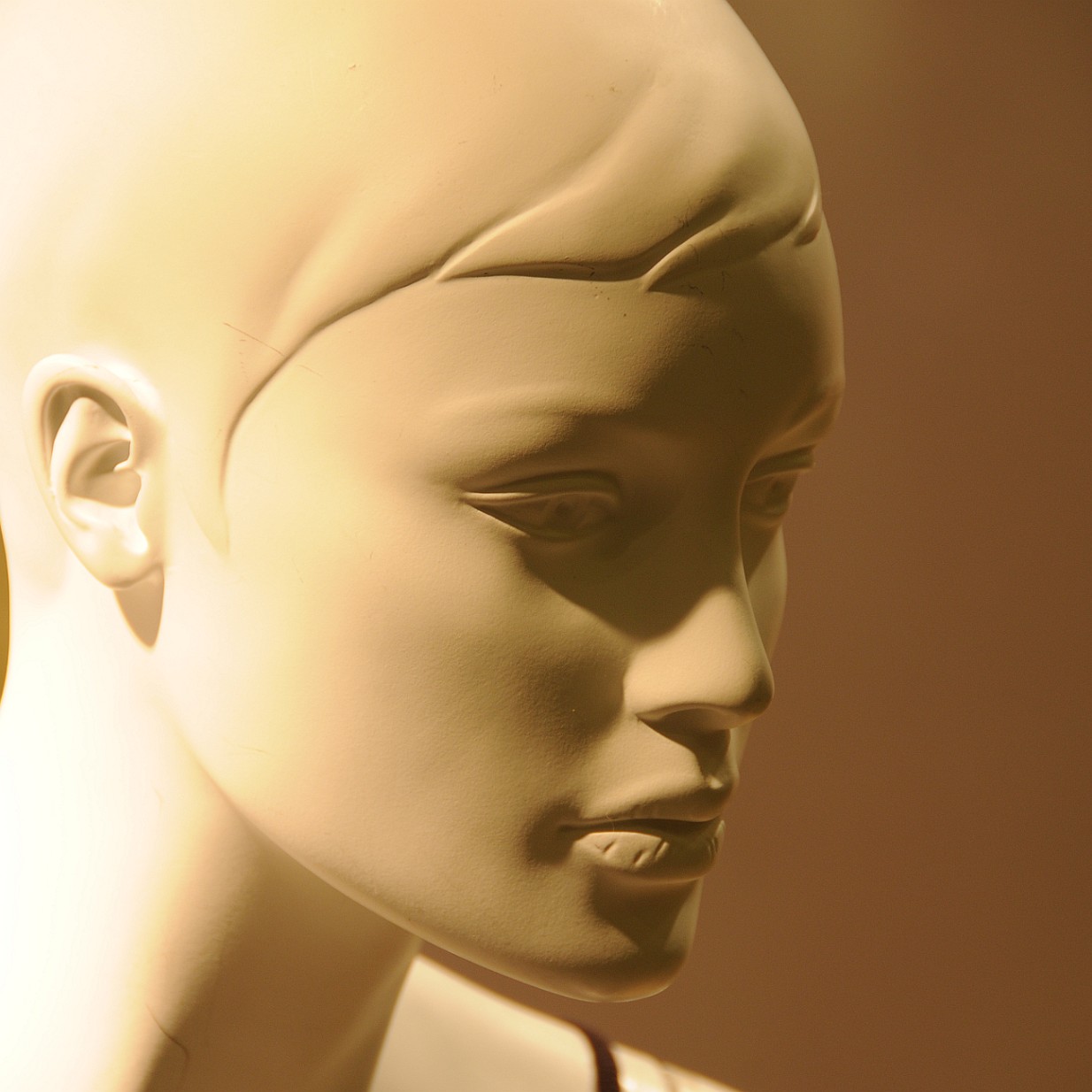 DSC_0296 Alberta; Banff; Kanada; Nationalpark