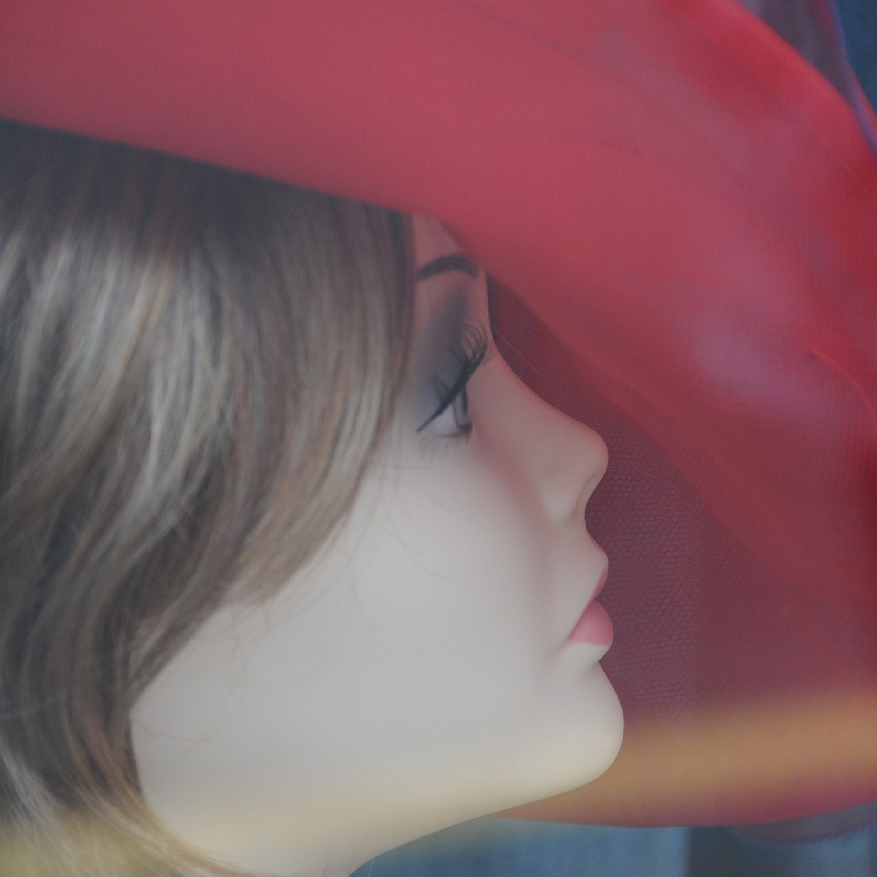 DSC_1353 Kanada; British Columbia; Vancouver Island; Sidney