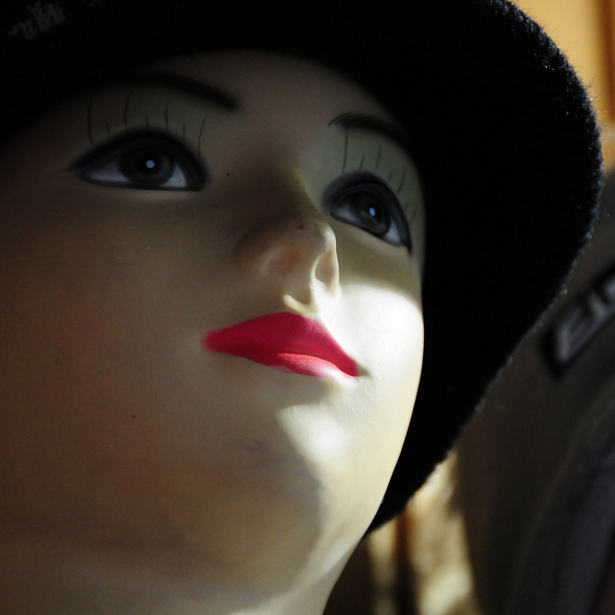 DSC_0918 Österreich, Wien