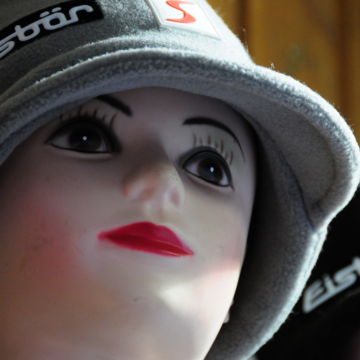 DSC_0919 Österreich, Wien