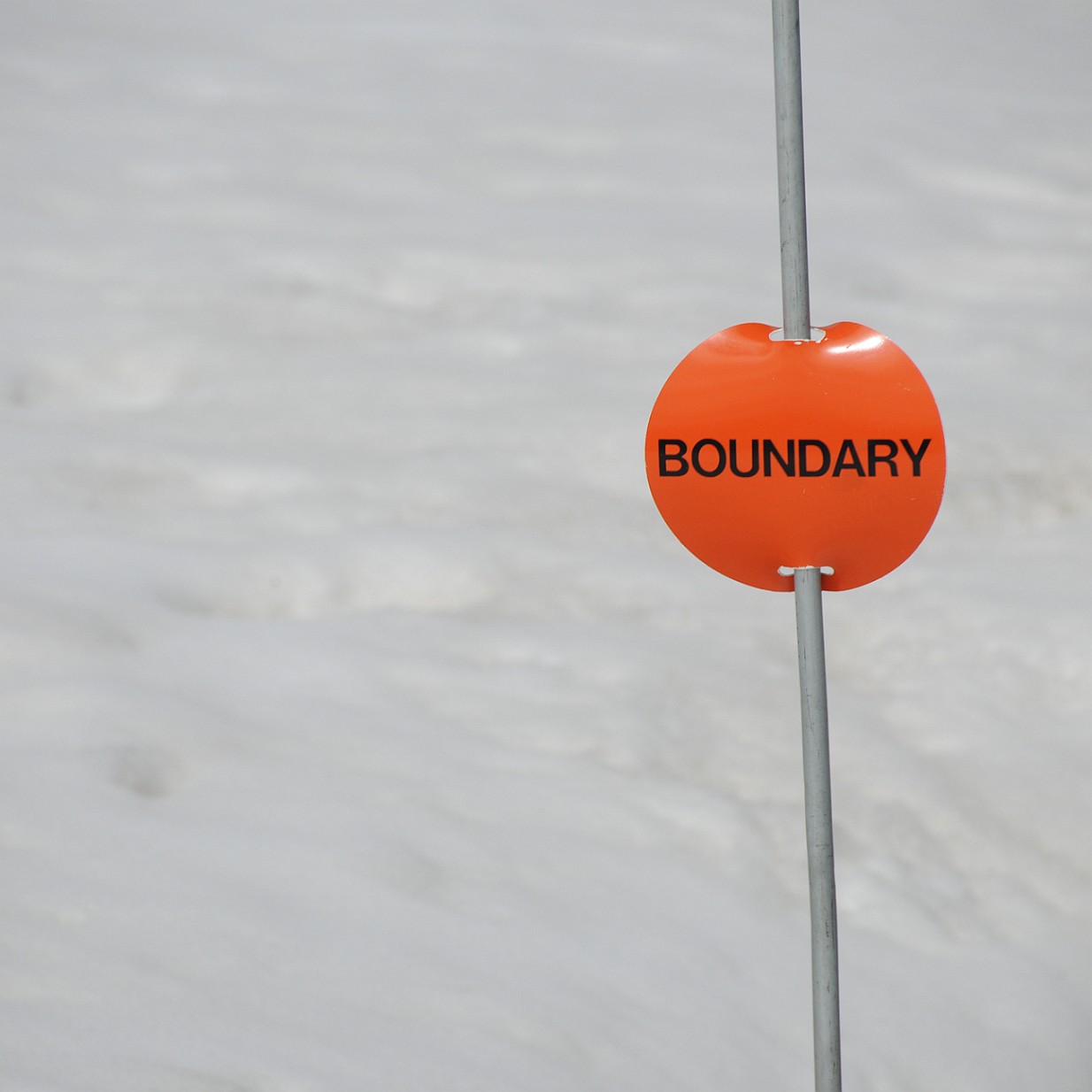 DSC_0619 Kanada; Alberta; Nationalpark; Jasper; Jasper Tramway; Whistlers Mountain