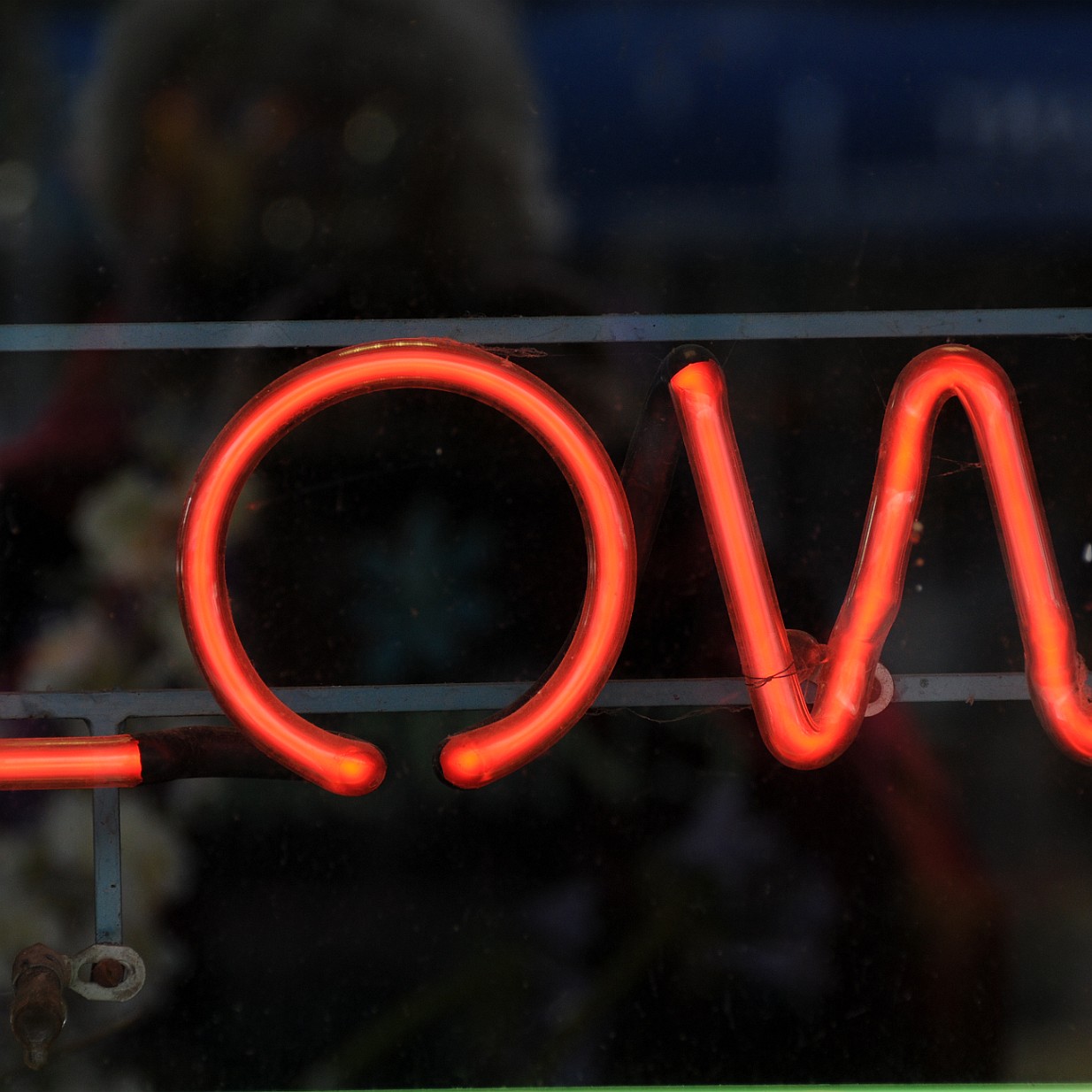 DSC_1350 Kanada; British Columbia; Vancouver Island; Sidney