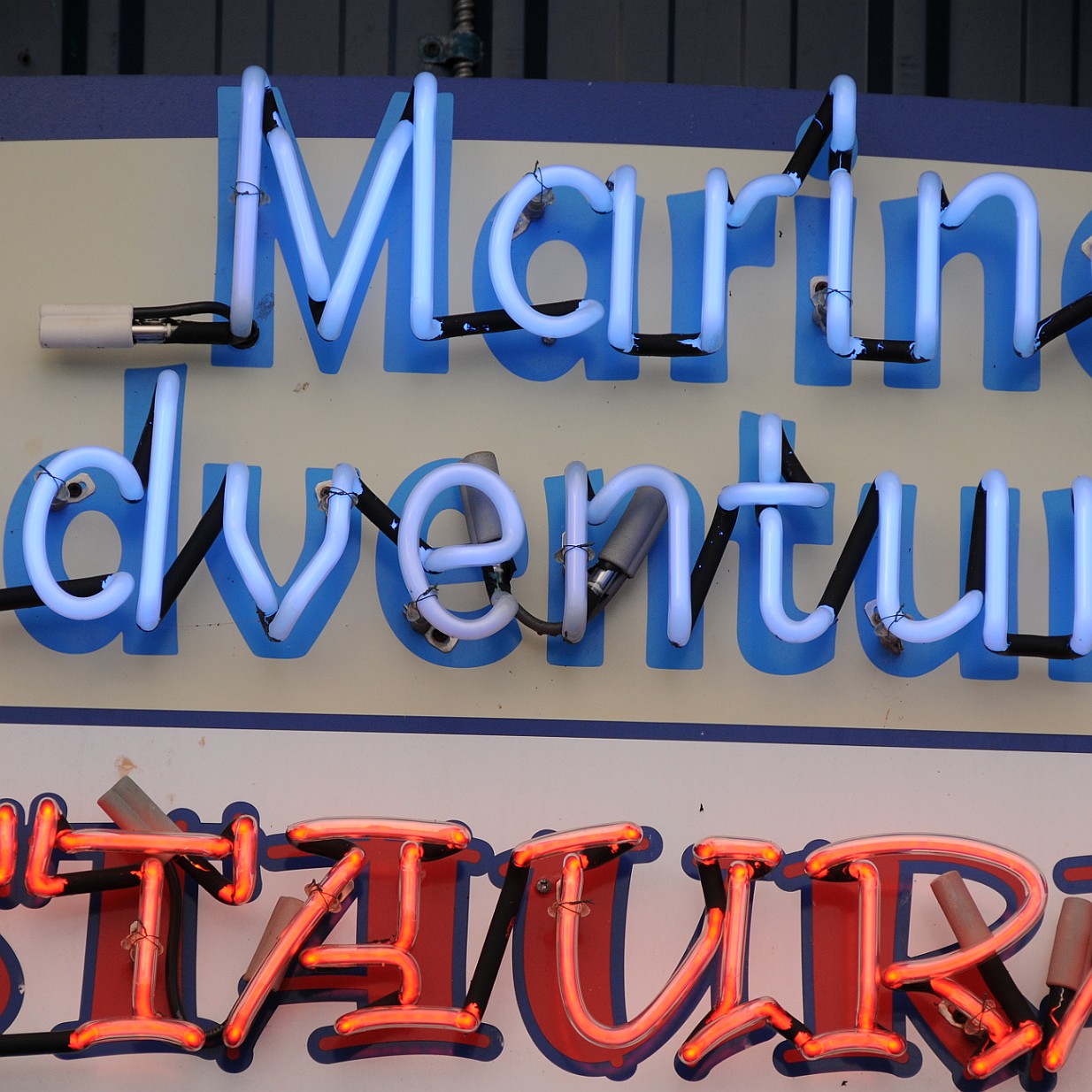 DSC_1359 Kanada; British Columbia; Vancouver Island; Sidney