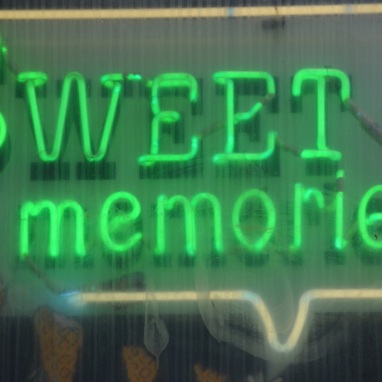 DSC_1531 Kanada; British Columbia; Vancouver Island; Victoria